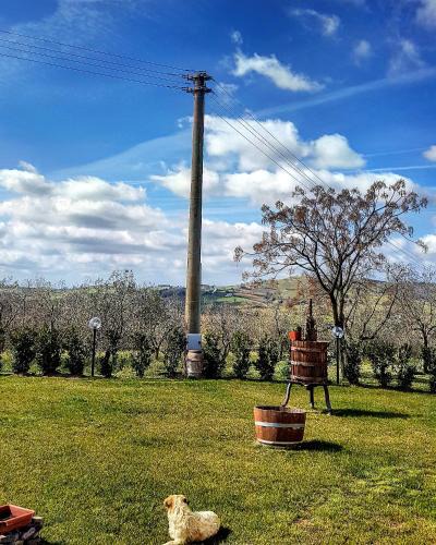 Magliano in Toscana House | Casa di Campagna