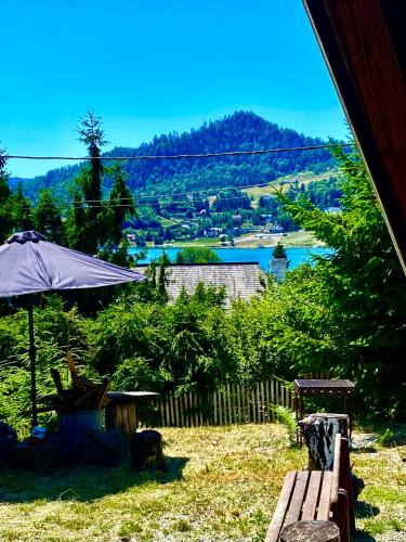Bistrita Bargaului Cabin | Casa dintre Brazi Colibita