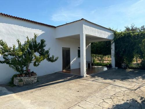 Latiano House | Casa Domitia