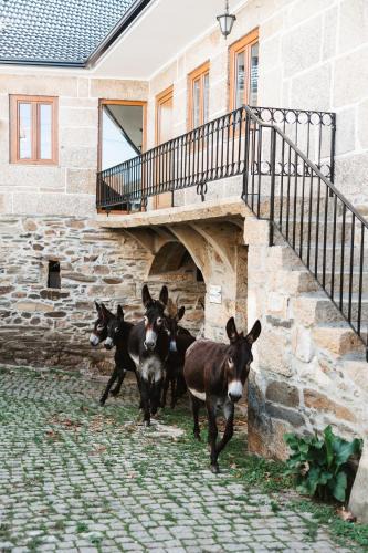 Parada de Ester House | Casa dos Costas