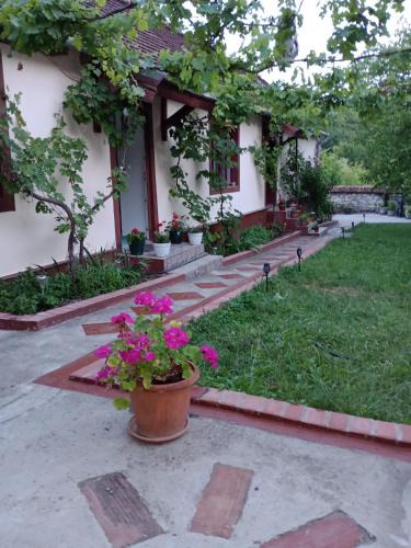 Ciclova Romana House | Casa Dragoi din Socolari, 218, Caras - Severin