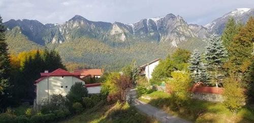 Busteni Villa | Casa EMY Busteni