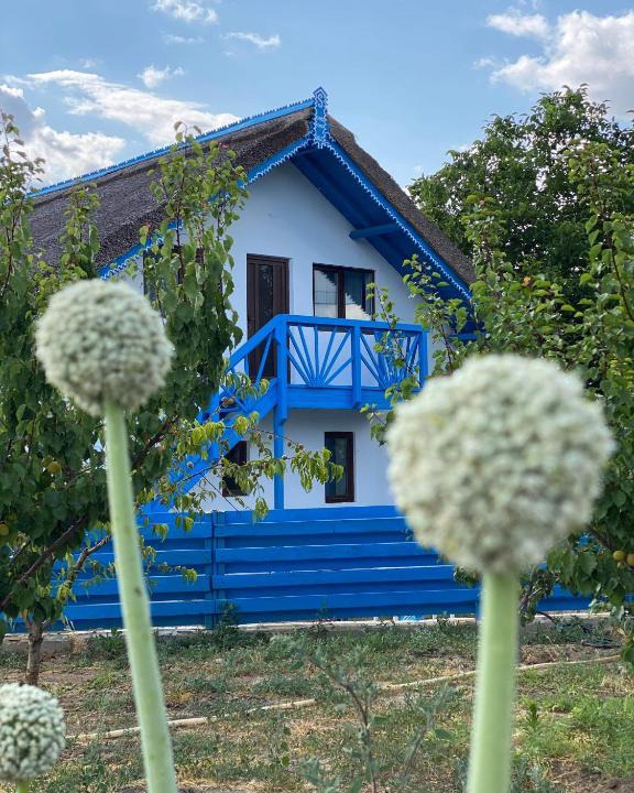 Enisala House | Casa Enisala