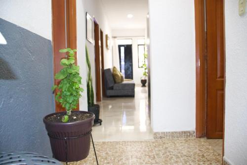 Armenia Apartment | Casa Entera Privada en Montenegro Quindio