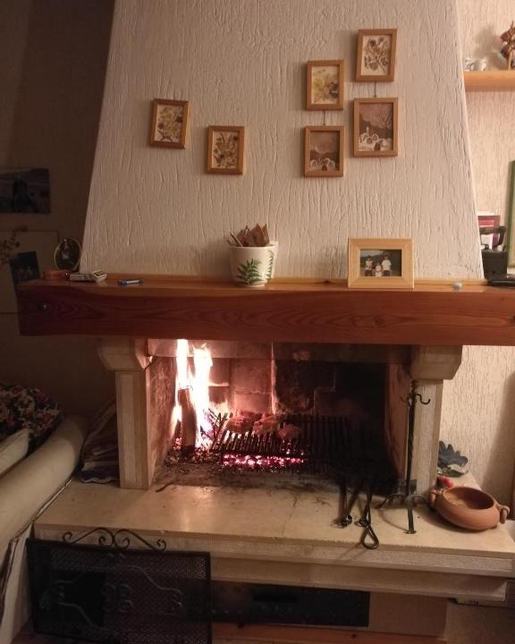 Lavarone House | Casa FLAVIA