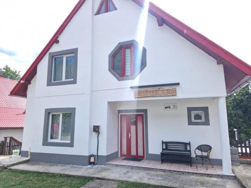 Valiug House | Casa Flavius