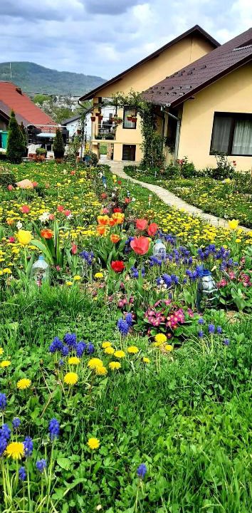 Curtea De Arges Apartment | Casa Florilor