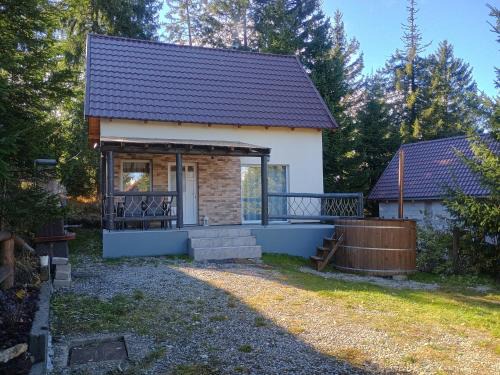 Sincraieni House | Casa Fresh