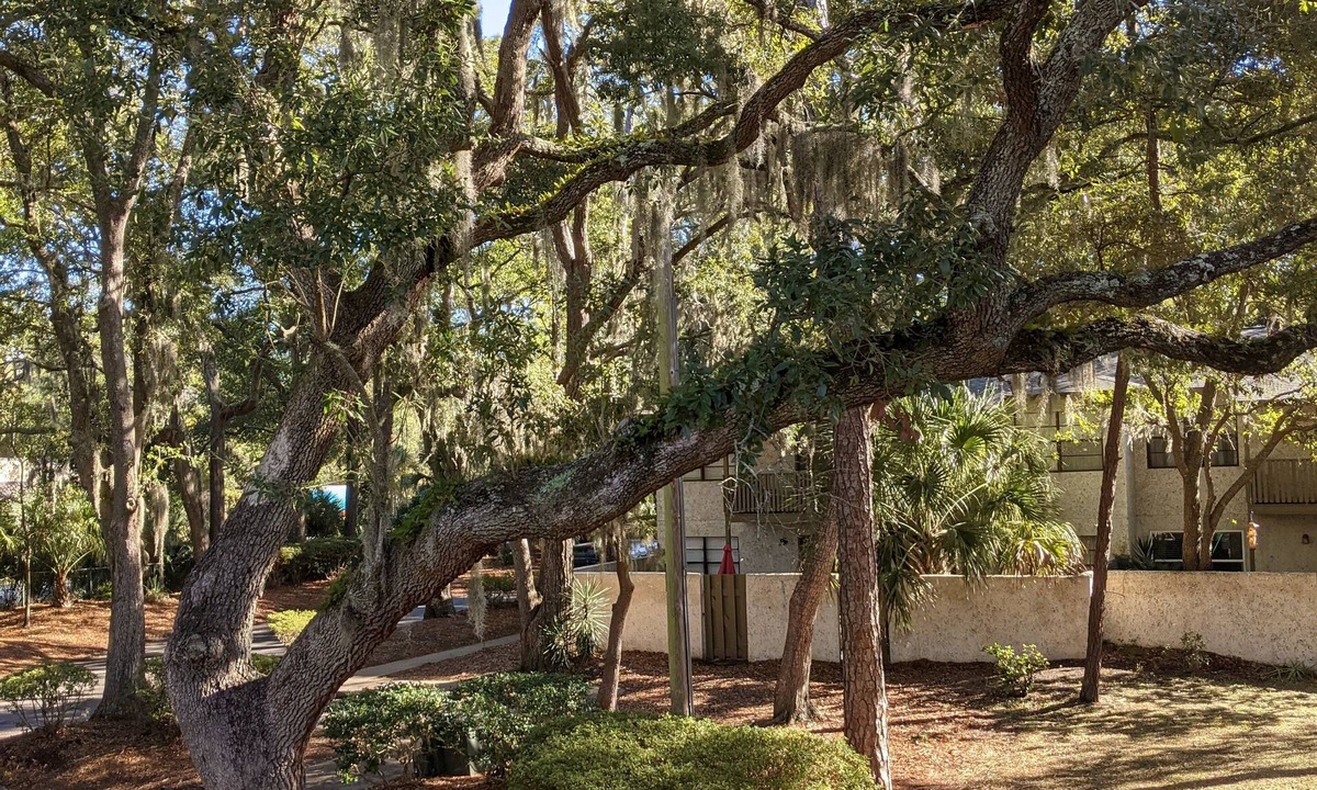 Palmetto Dunes Condo | Casa Gabriela no pet fees 1.2 miles from the beach. North End.str permit 069298