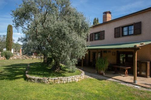 Roccastrada House | Casa Girasole