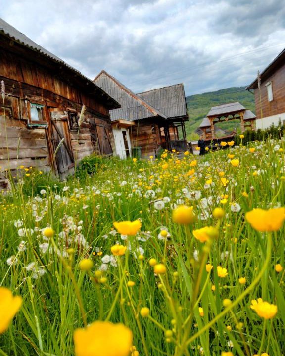 Nanesti House | Casa Godja Oncești