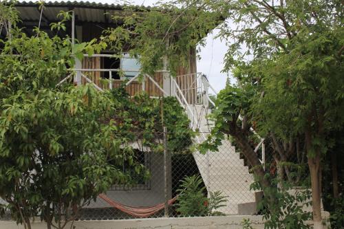 Papare House | Casa Grulla