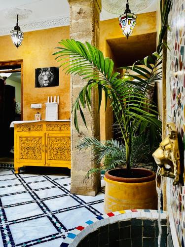 Medina of Rabat House | Casa Indigo