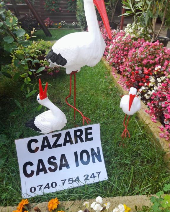 Horezu House | Casa Ion