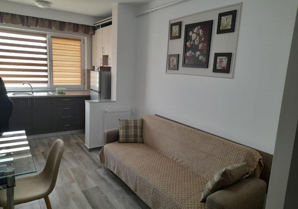 Slatina Apartment | CASA IULIA
