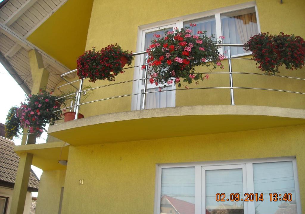 Turda House | Casa Judith
