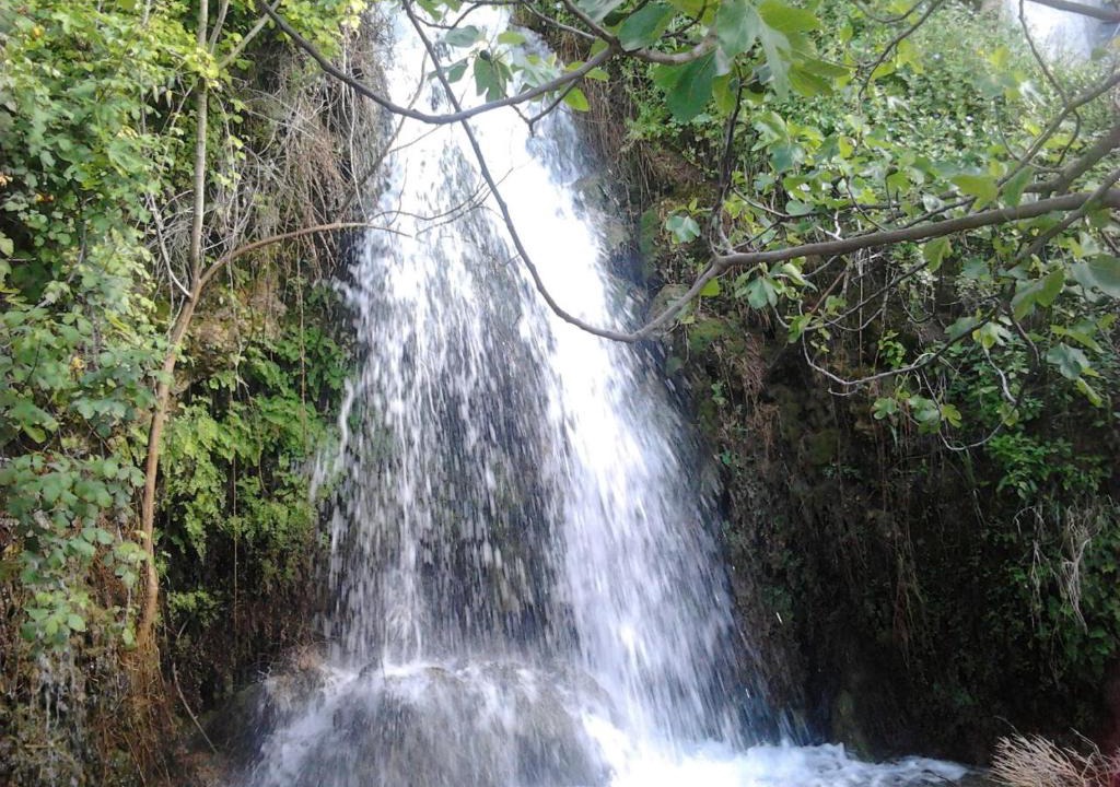 El Bosque House | Casa La Cascada