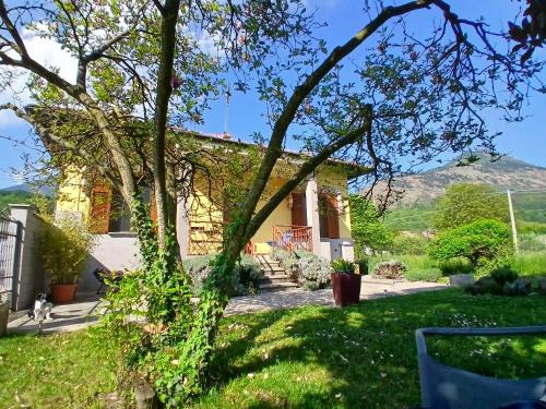 Almese House | Casa La V G