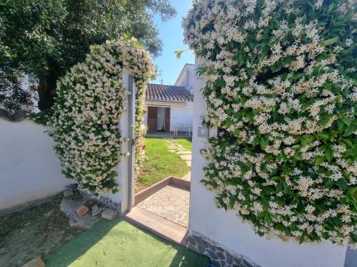Masainas House | Casa Lara