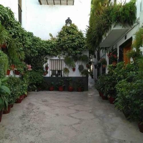 Quesada House | Casa Lara - Sierra de Cazorla