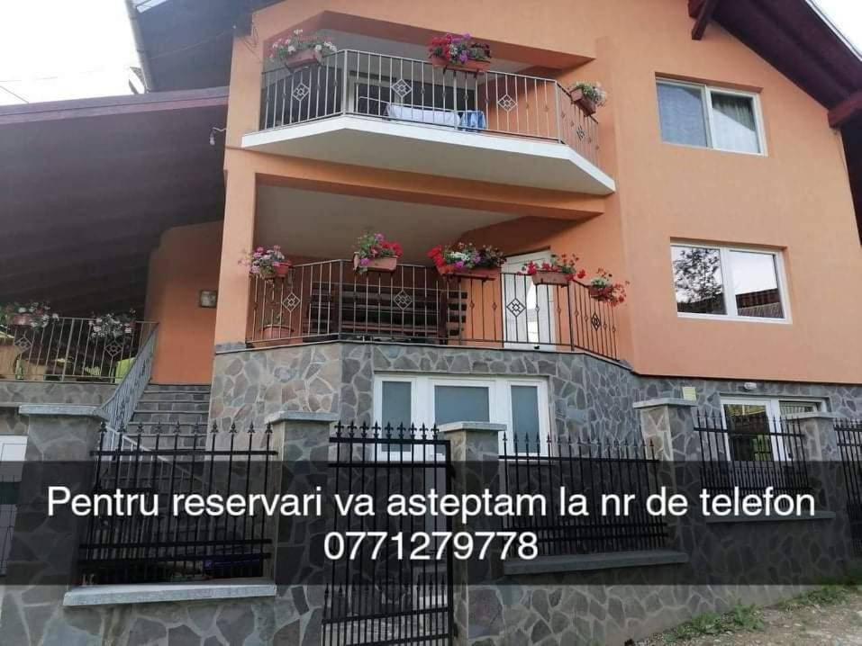 Viseu de Sus House | Casa Larisa