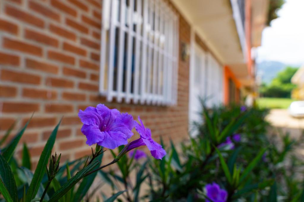 Darien Apartment | Casa las ruelias