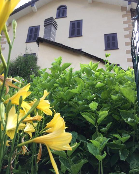 Alagna Valsesia Apartment | Casa Le Rose