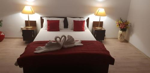 Timisoara House | Casa Lions