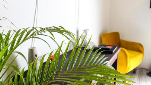 Ocosingo Hotel | Casa LOBE