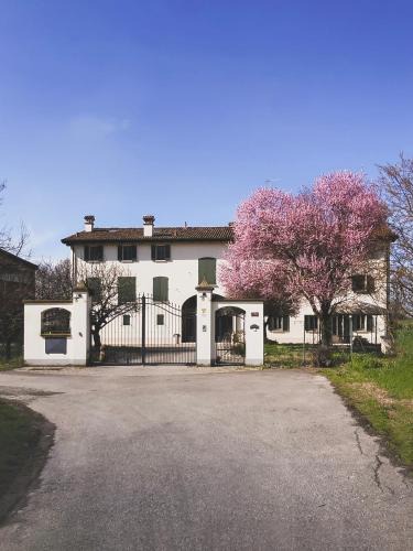 San Faustino-Madonnina-Quattroville Apartment | Casa Luisa