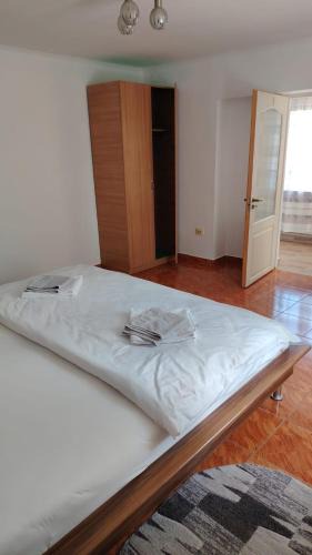Sapinta House | Casa Madalina