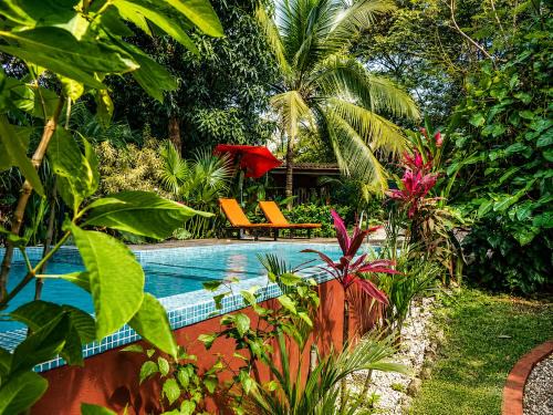 Tamarindo House | Casa Mapache Pool and Breakfast Available near Tamarindo Beach