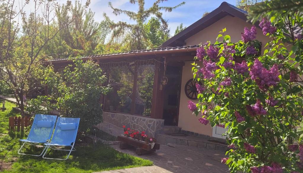 Breaza House | Casa Mara