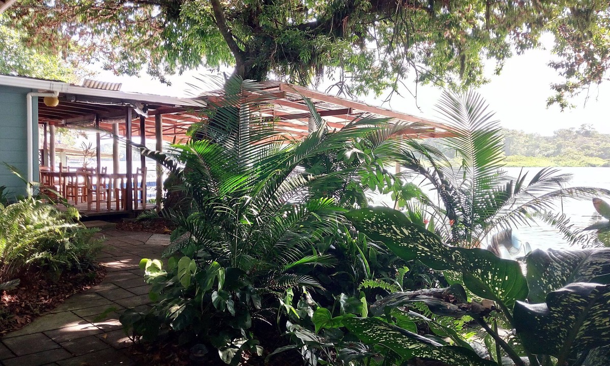 Tortuguero Bed & Breakfast | Casa Marbella