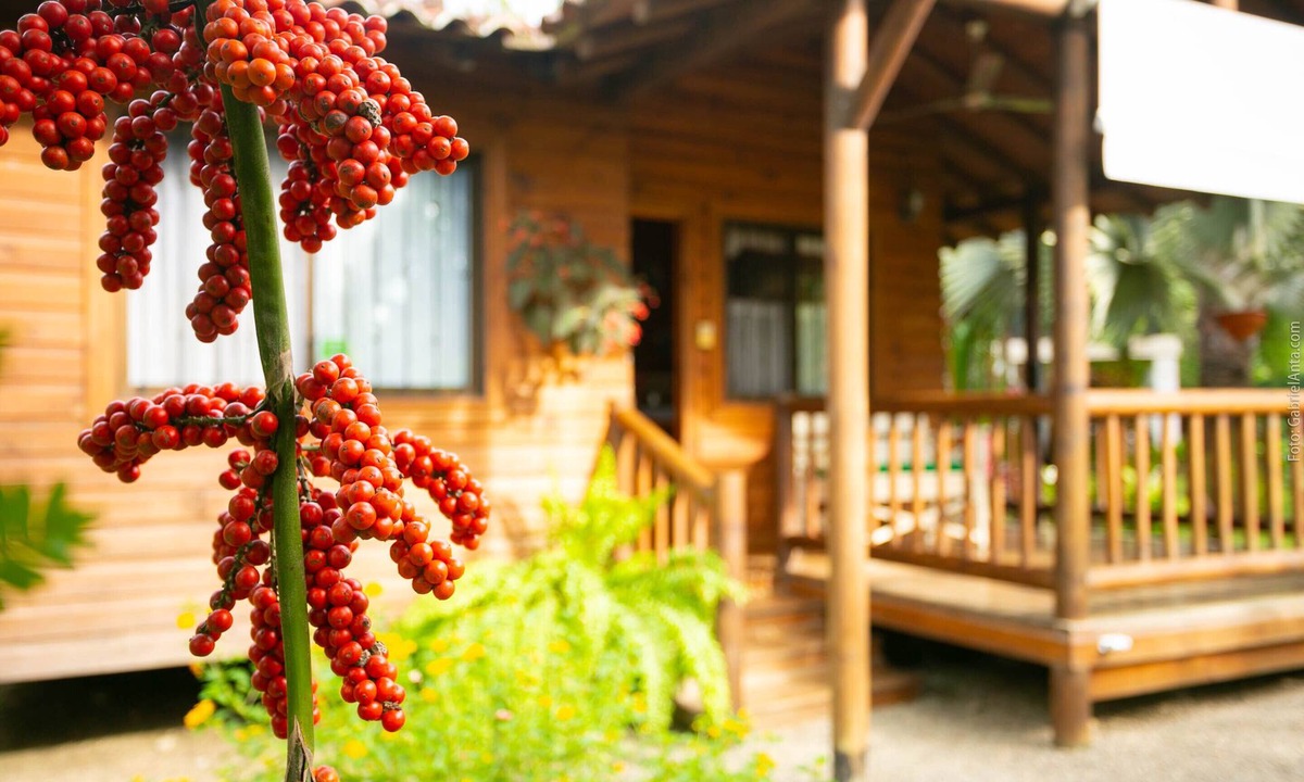 Cahuita Cabin | Casa Marcellino
