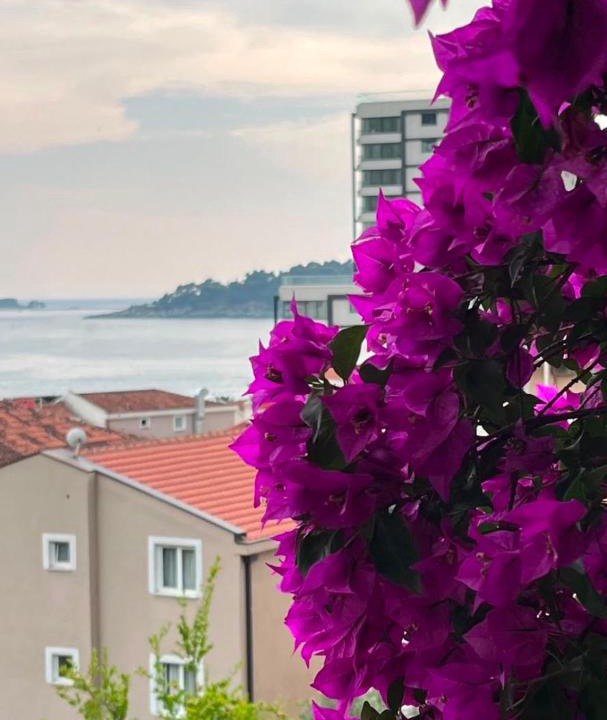 Rafajlovici Apartment | Casa mare