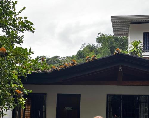 El Cerro Bed & Breakfast | Casa Marisol