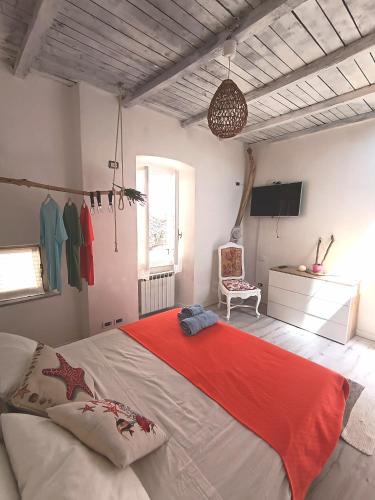 Arcola House | Casa Martina