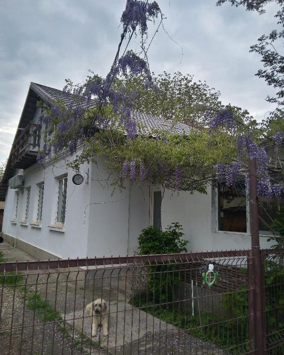 Giurgiu House | CASA MEA-Casa Mocanu
