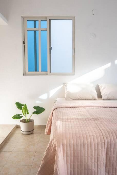 Chetumal Apartment | Casa Medina