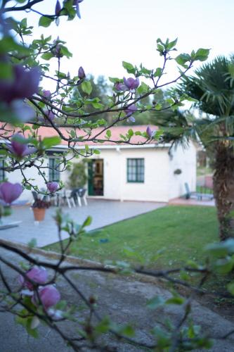 Mino House | Casa Milladoiro