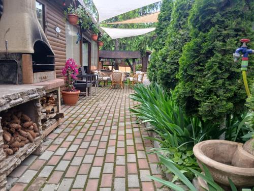 Mangalia House | Casa Mola