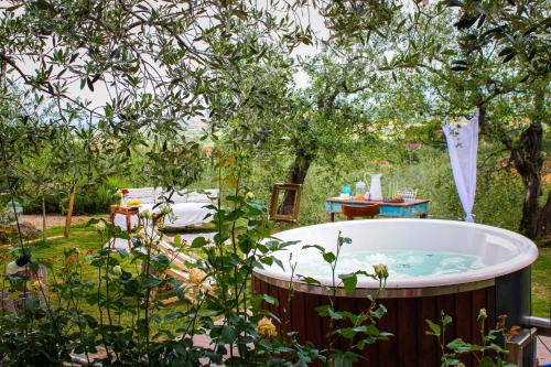 Lucignano Bed & Breakfast | Casa Montalgallo