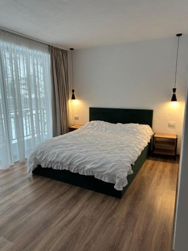 Brezoi Resort | Casa Montwis