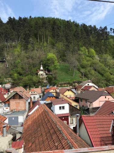 Brasov Villa | Casa Mountain view