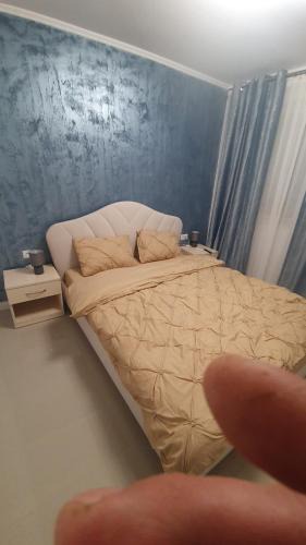 Craiova House | casa nedelcu