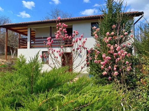 Silvasu de Sus House | Casa Nopcea
