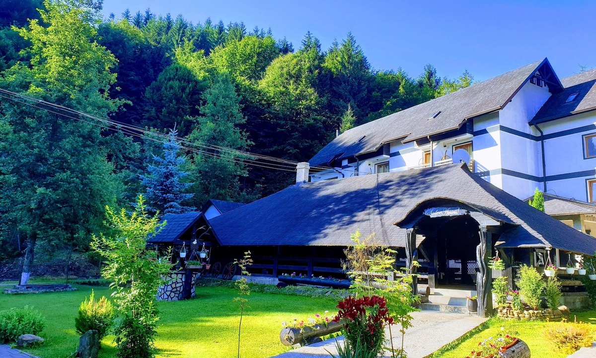 Sucevita House | Casa Octavian