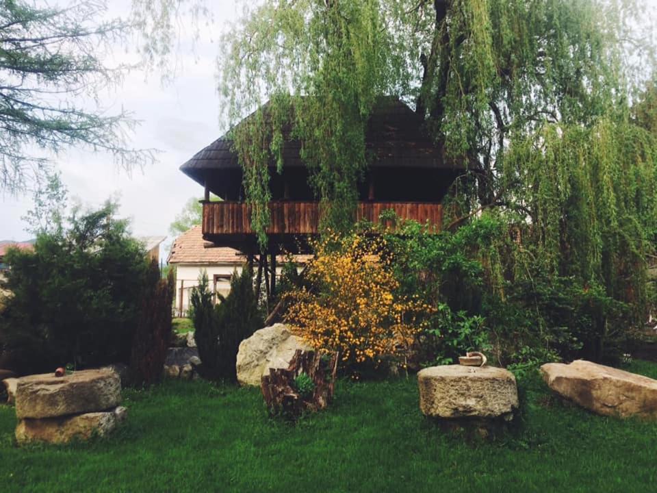 Vama House | Casa Ott