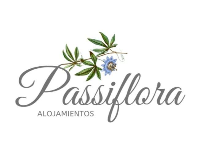 Villa Elisa House | Casa Passiflora II